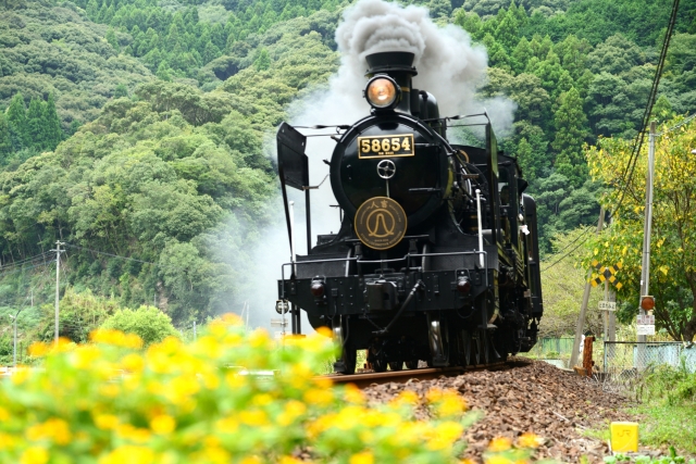 日本最古の現役蒸気機関車どこ？乗れる場所はあるの？蒸気機関車の仕組みは簡単！